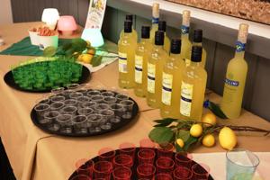 Camping Limone (115)